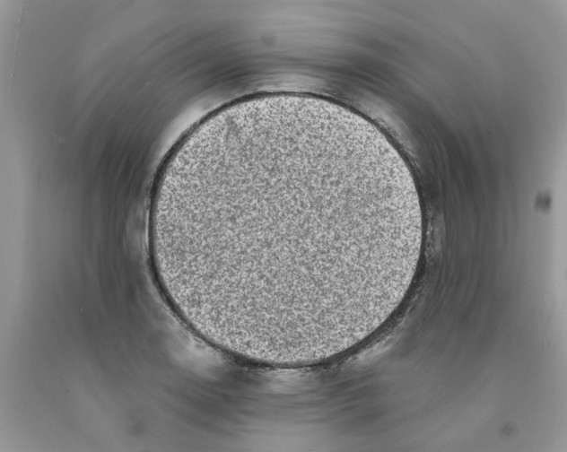 X0000091291130200709071026