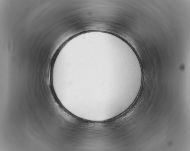 X0000091291131200709071026