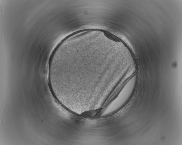 X0000091291132200709071026