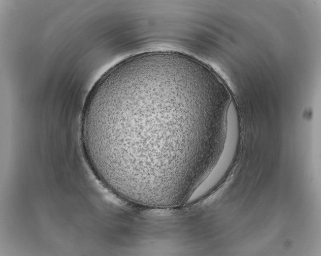 X0000091291134200709071026