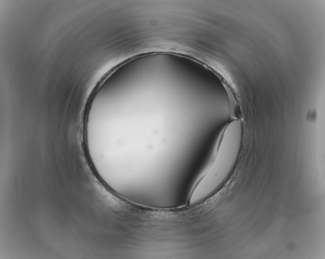 X0000091291136200709071026