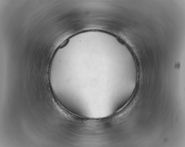 X0000091291137200709071026