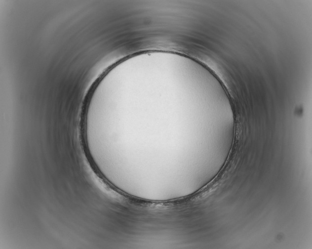 X0000091291139200709071026