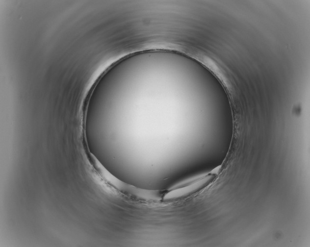 X0000091291140200709071026