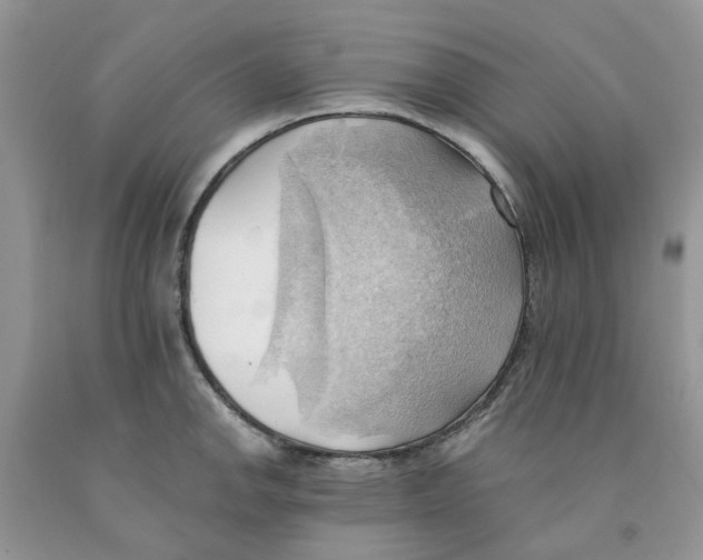 X0000091291142200709071026