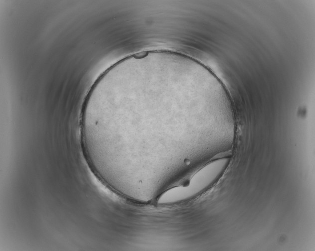 X0000091291143200709071027