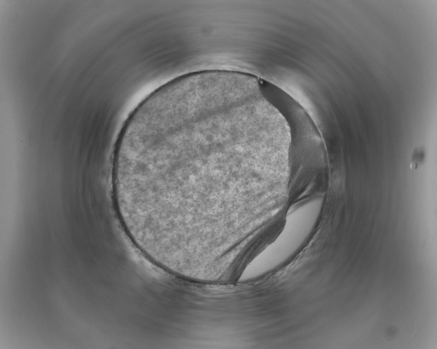 X0000091291144200709071027