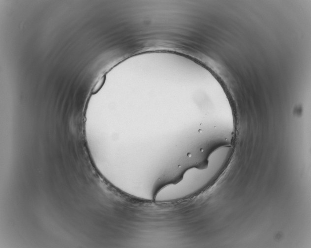 X0000091291145200709071027