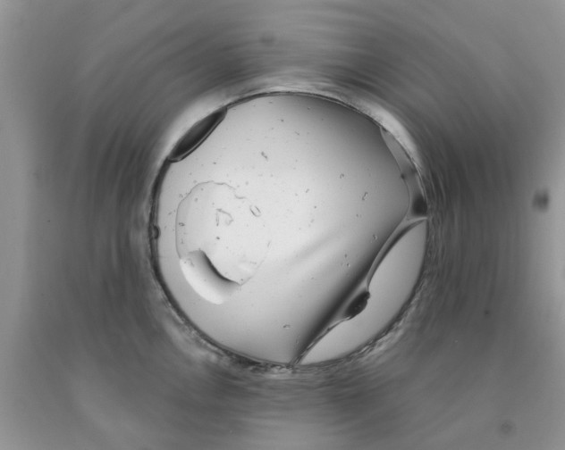 X0000091291146200709071027