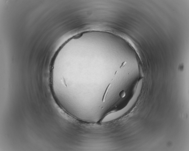 X0000091291147200709071027