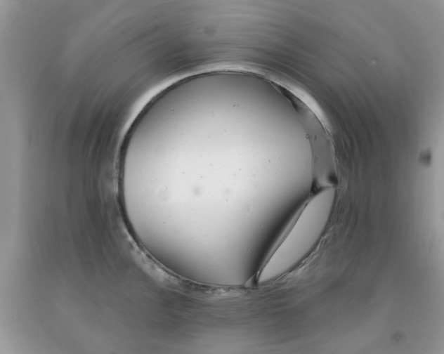 X0000091291148200709071027