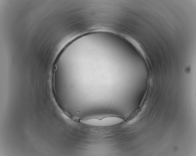 X0000091291149200709071027