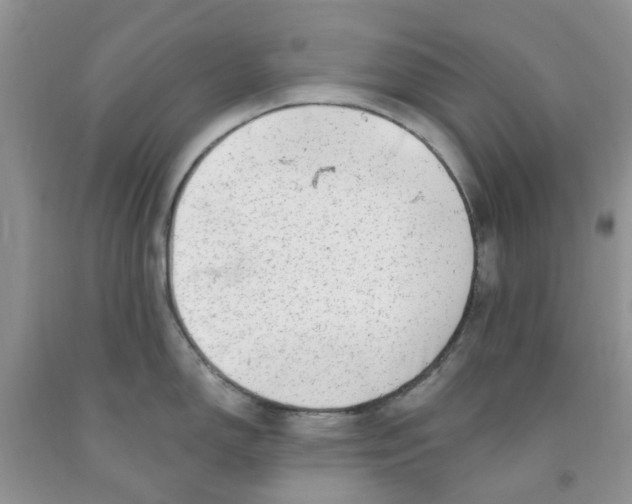 X0000091291150200709071027