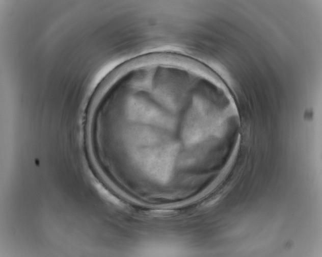 X0000091291151200709071027