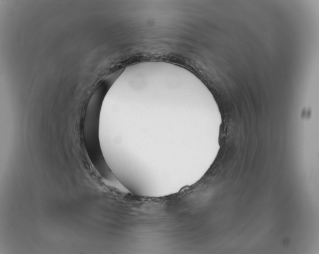 X0000091291153200709071026