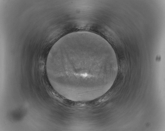 X0000091291154200709071026