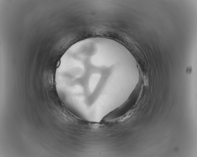 X0000091291155200709071026