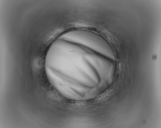 X0000091291157200709071026