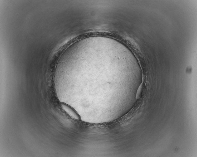 X0000091291159200709071026