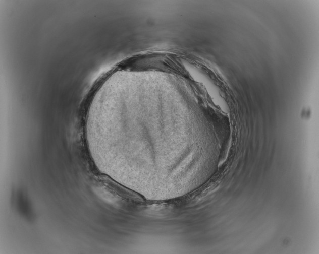 X0000091291160200709071026