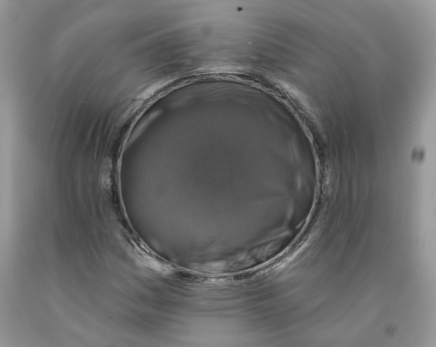 X0000091291161200709071026