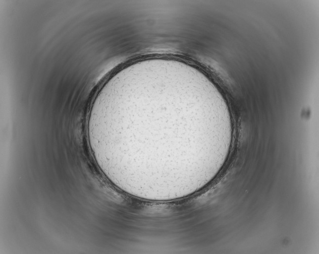 X0000091291162200709071026