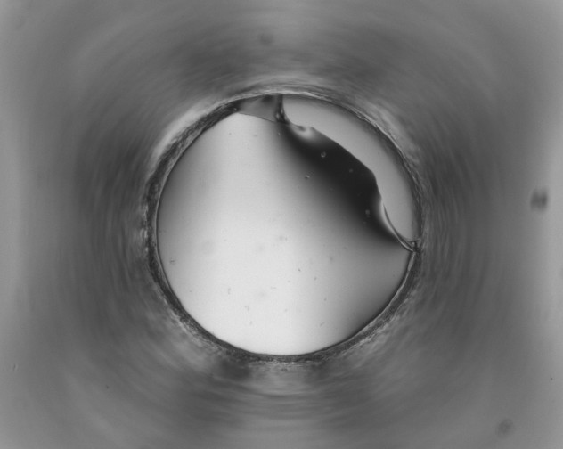 X0000091291164200709071026