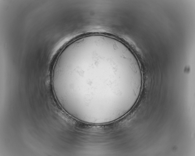 X0000091291167200709071026