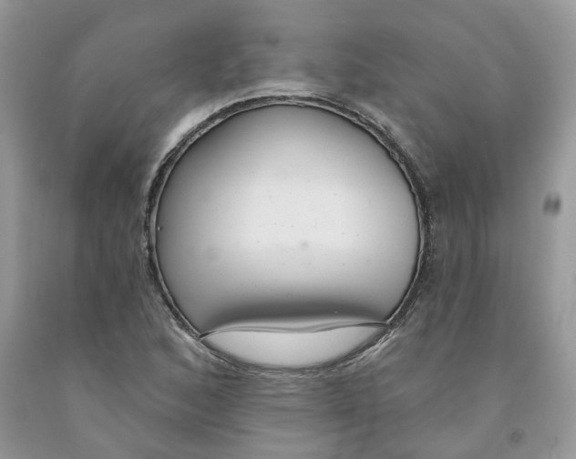 X0000091291168200709071026