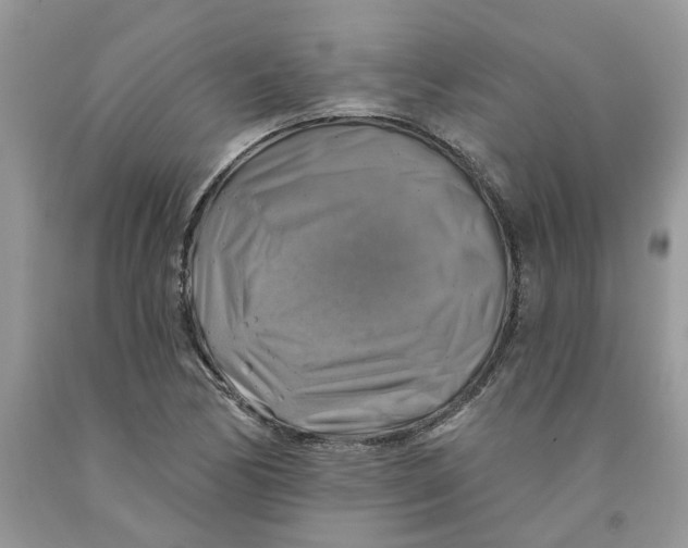 X0000091291170200709071026