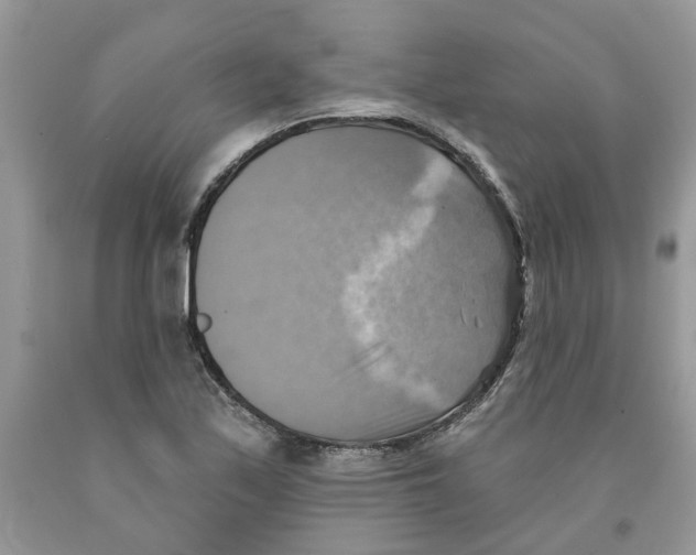 X0000091291171200709071026