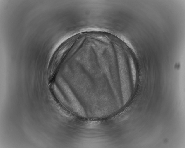 X0000091291173200709071026