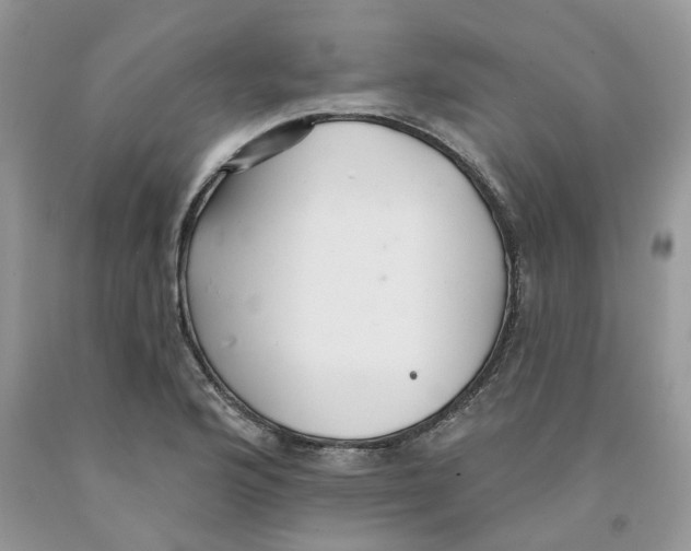 X0000091291176200709071026