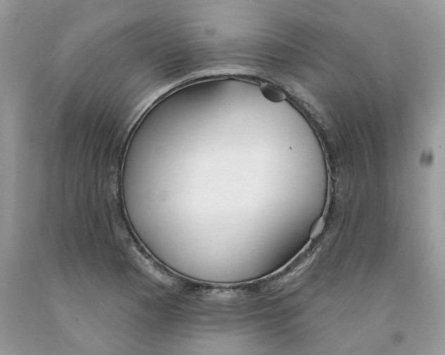 X0000091291177200709071026