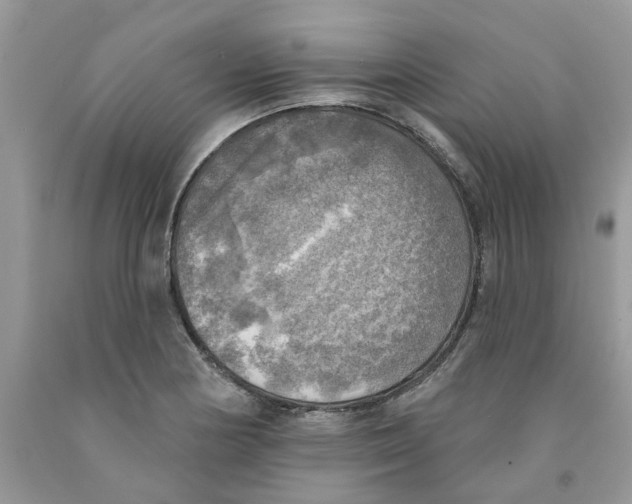 X0000091291178200709071026