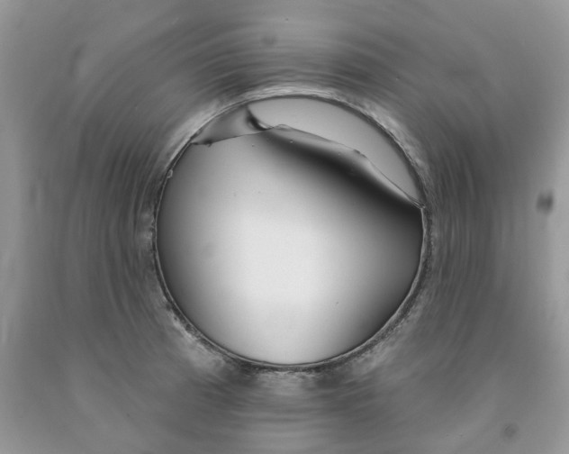 X0000091291185200709071025