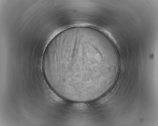 X0000091291186200709071025