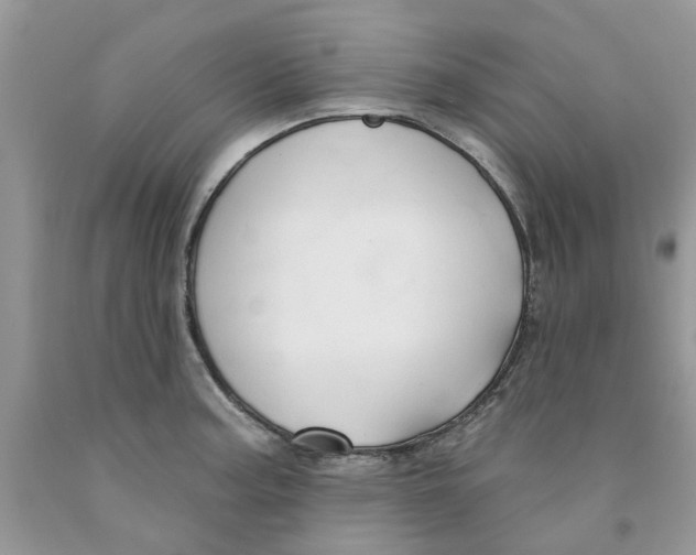 X0000091291187200709071025