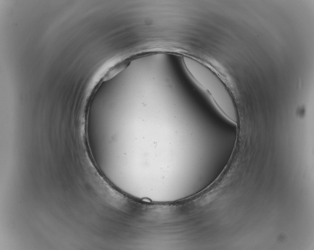 X0000091291188200709071025