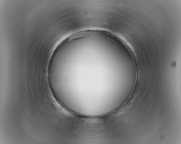 X0000091291189200709071025