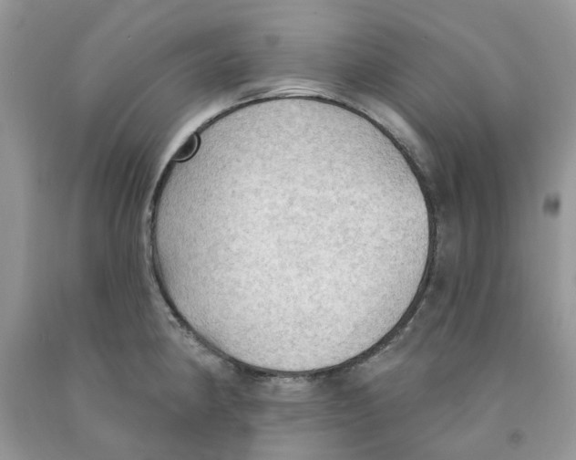 X0000091291190200709071025