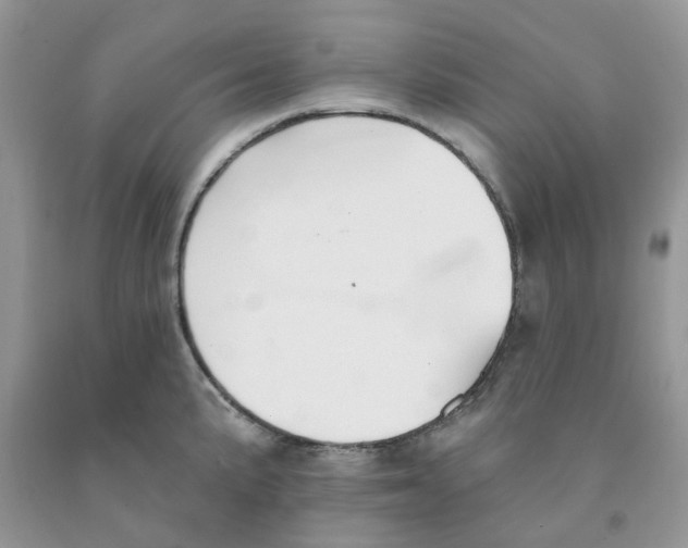 X0000091291191200709071025