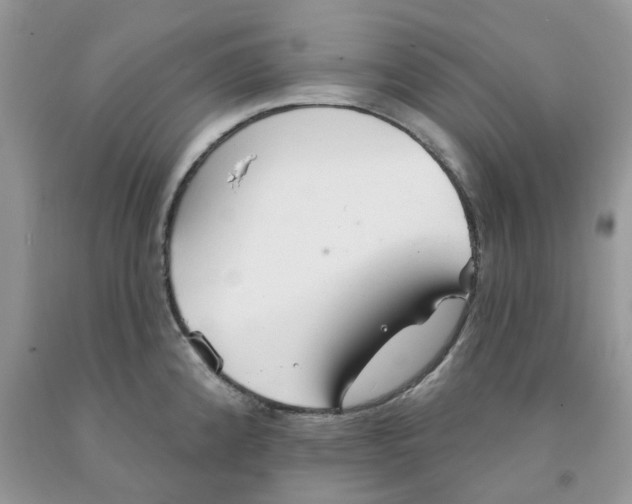 X0000091291192200709071025