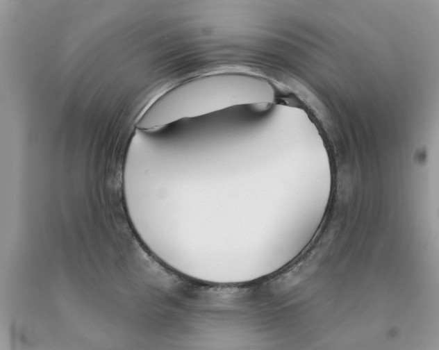 X0000091291193200709071025