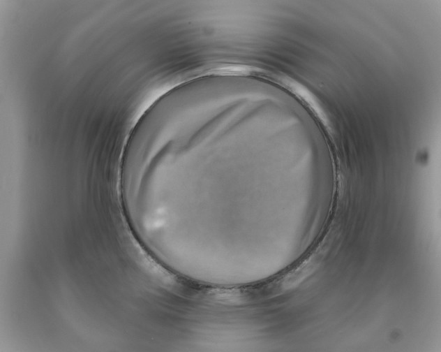 X0000091291194200709071025