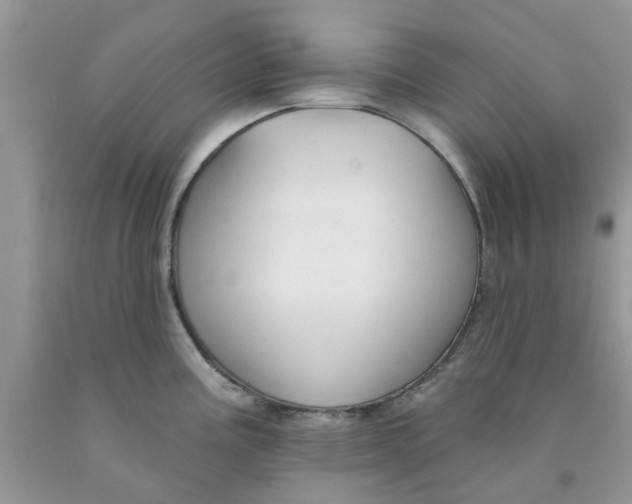 X0000091291195200709071025