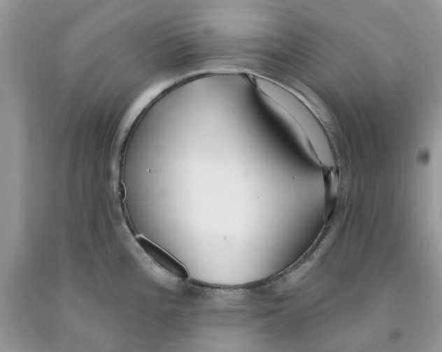 X0000091291196200709071025