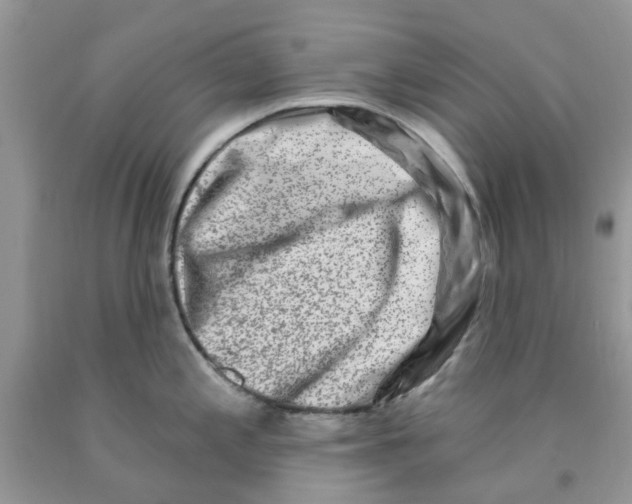 X0000091291197200709071025