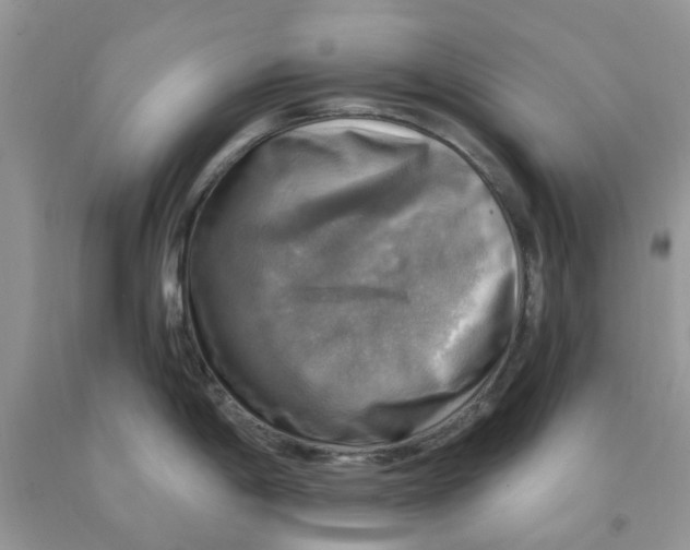 X0000091291198200709071025