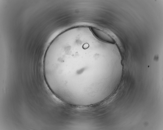 X0000091291199200709071025